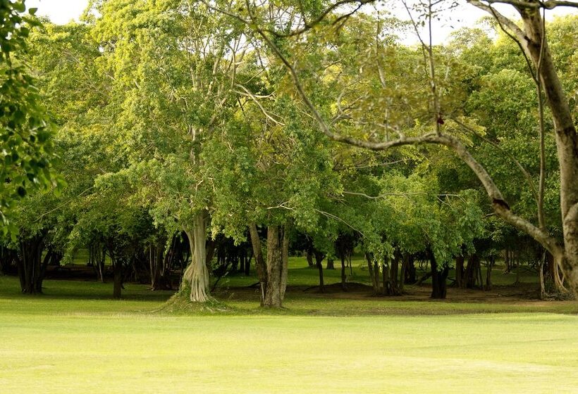 Отель Amaya Lake Dambulla