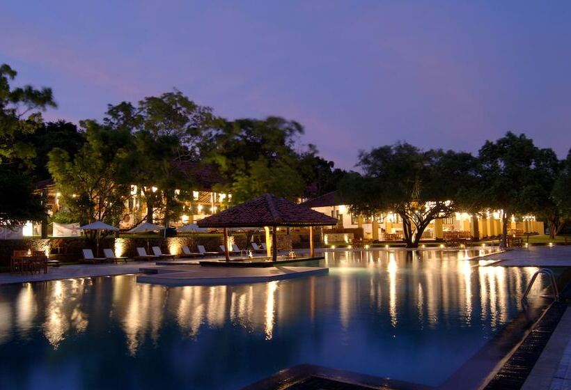 Отель Amaya Lake Dambulla