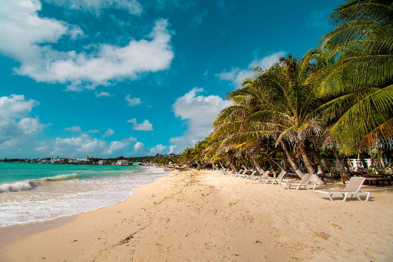 호텔 Arena Blanca By Dorado