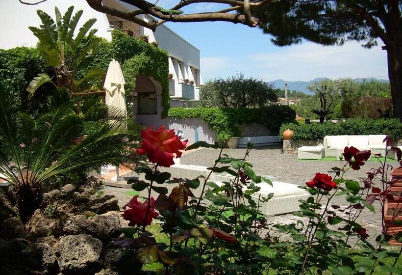 בית מלון כפרי Baia