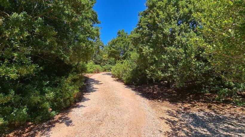 בית מלון כפרי Bed And Breakfast La Terrazza