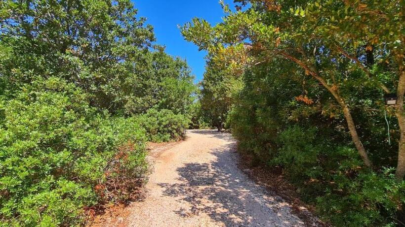 בית מלון כפרי Bed And Breakfast La Terrazza