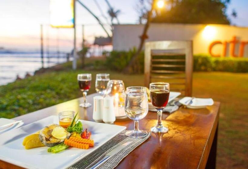 ホテル Citrus Hikkaduwa