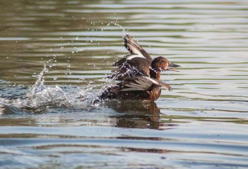 فندق Delta Nature Resort