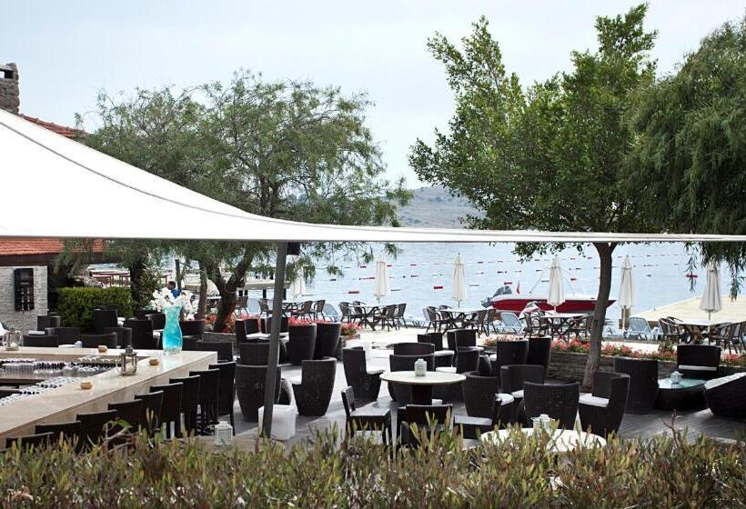 호텔 Divan Bodrum Palmira