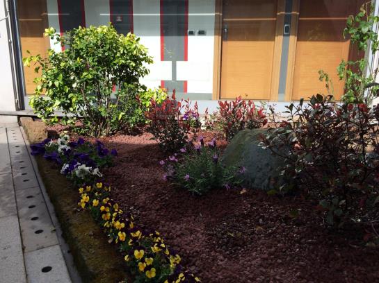 בית מלון כפרי Domus Expo