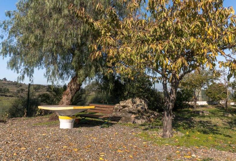 ホテル Estrela Da Idanha