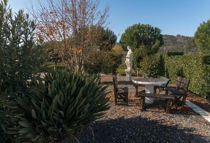 ホテル Estrela Da Idanha