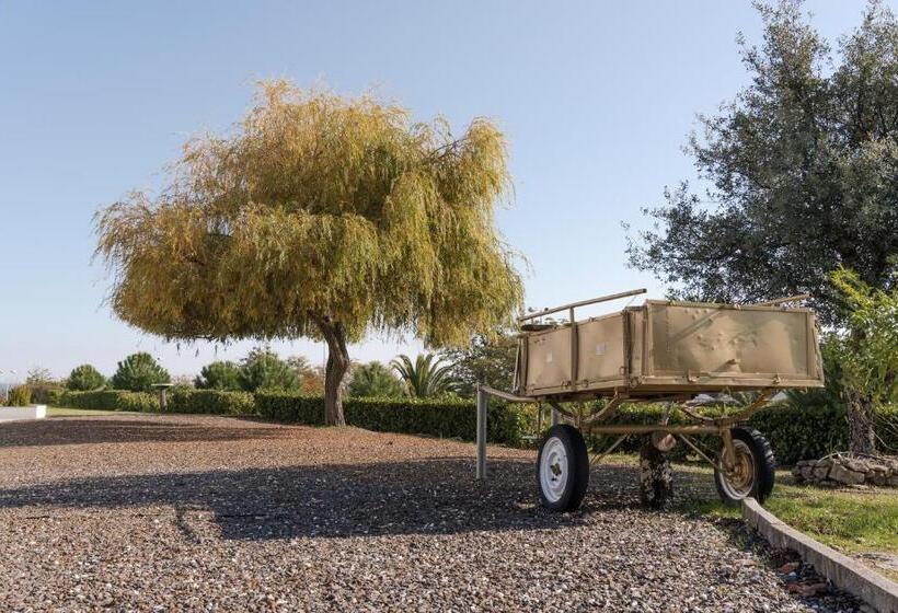 ホテル Estrela Da Idanha