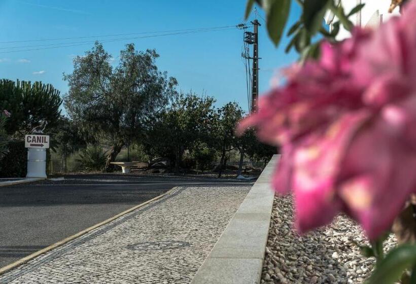 ホテル Estrela Da Idanha