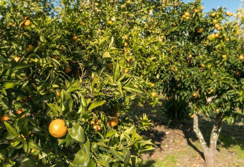 ホテル Estrela Da Idanha