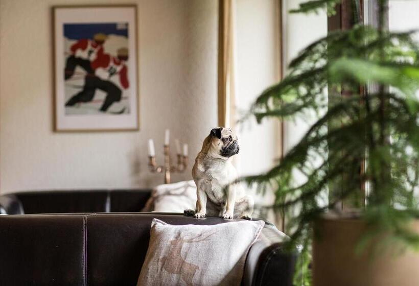 ホテル Garni Römerhof