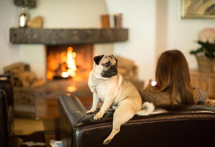 ホテル Garni Römerhof