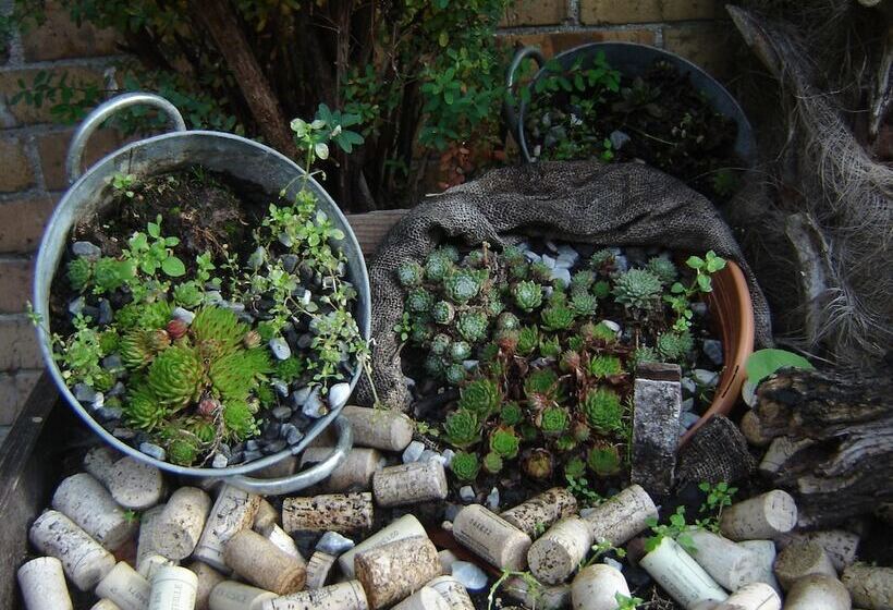 Отель Koffieboontje