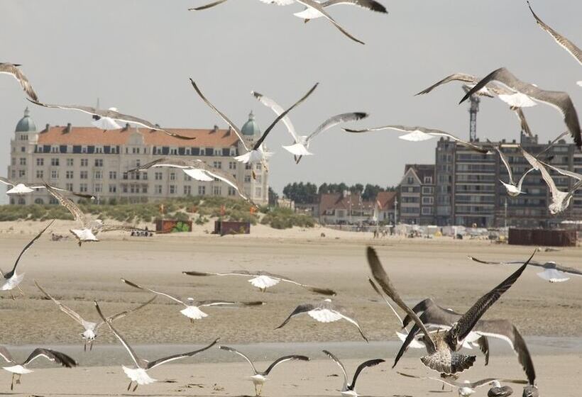 Отель Koffieboontje