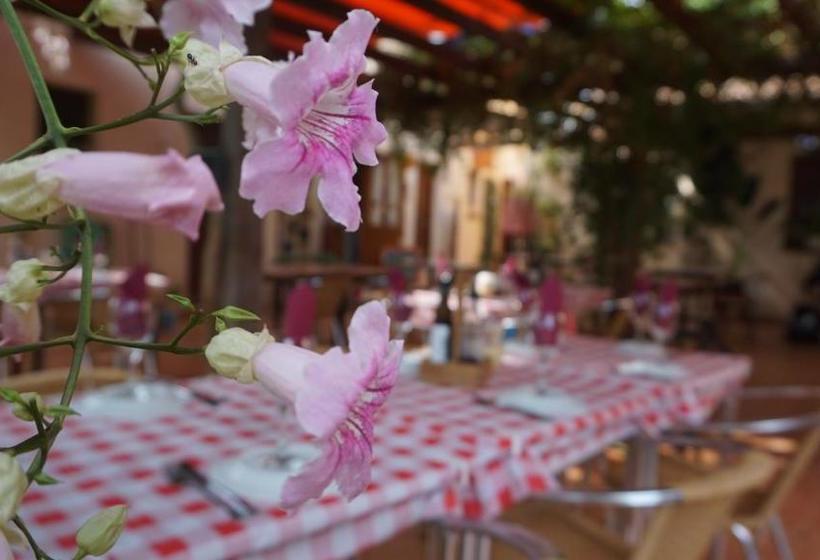 בית מלון כפרי La Mariposa