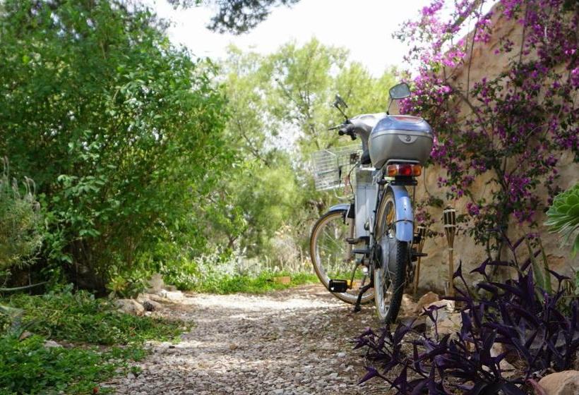 בית מלון כפרי La Mariposa