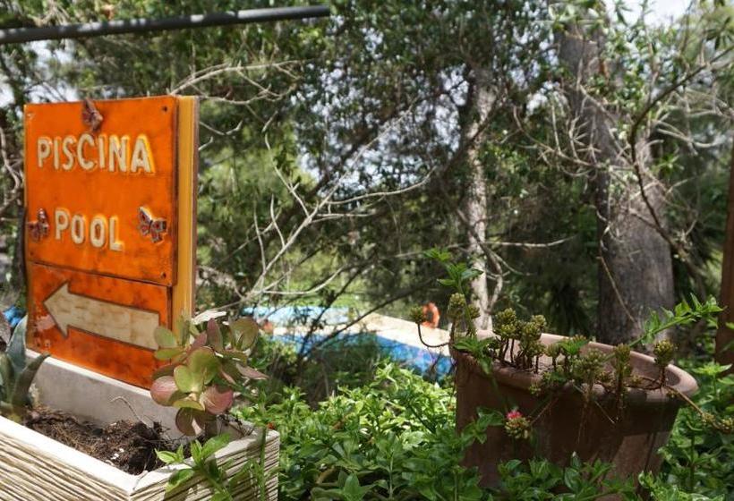 בית מלון כפרי La Mariposa