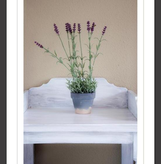 هتل La Muñequilla