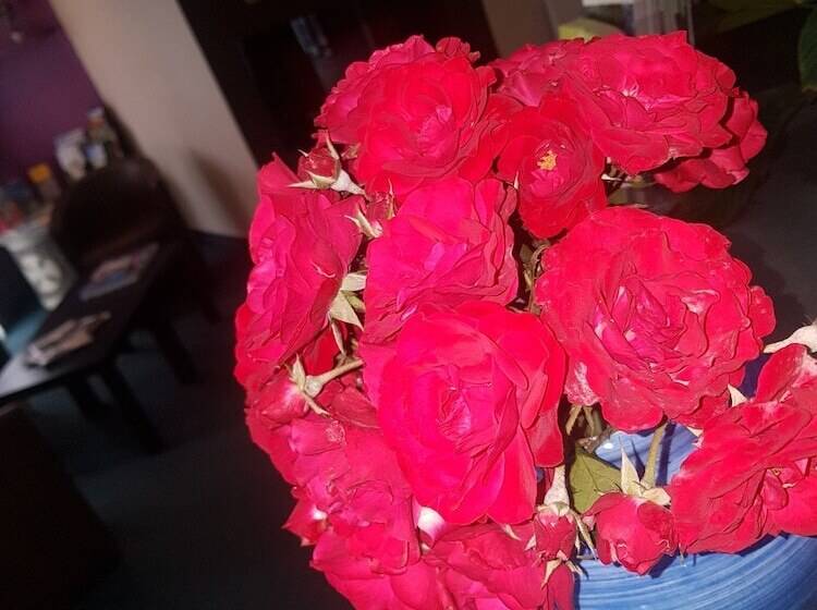 酒店 Le Cosy Blois Villebarou