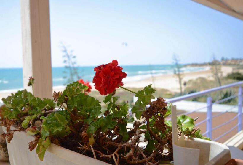 בית מלון כפרי Mar & Sol