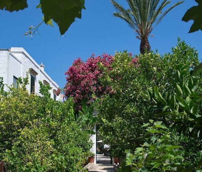 בית מלון כפרי Masseria Il Frantoio