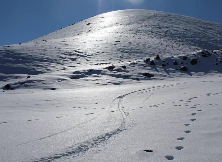 בית מלון כפרי Milomax