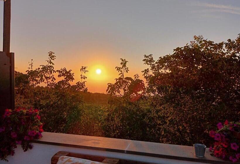 בית מלון כפרי Milomax