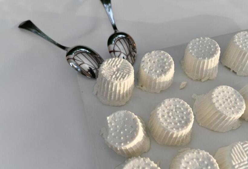 酒店 Minerva Resort