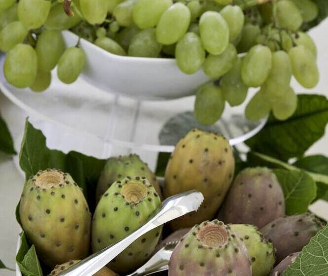 酒店 Palazzo Papaleo