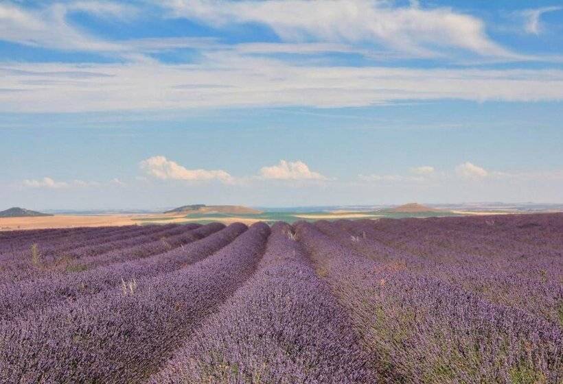 abba Las Viñas Tiedra Hotel Rural