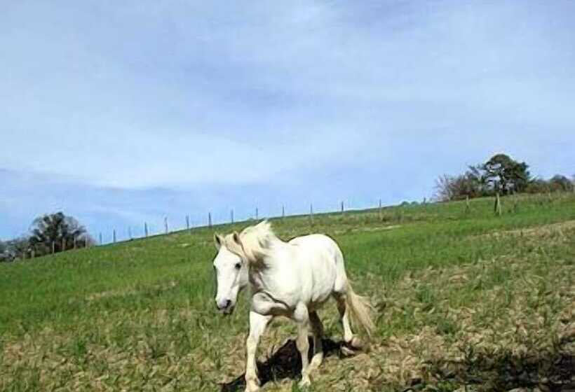 Сельский отель La Tavola Dei Cavalieri