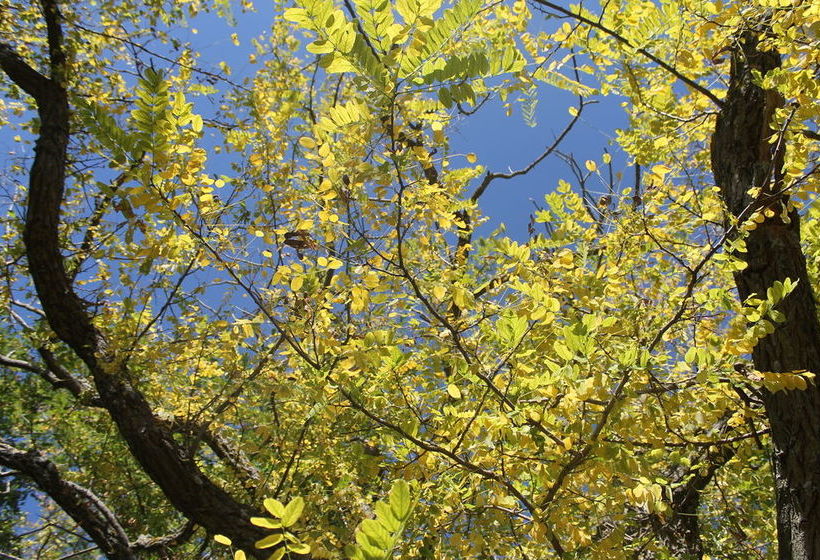 田舎風ホテル Le Cisterne