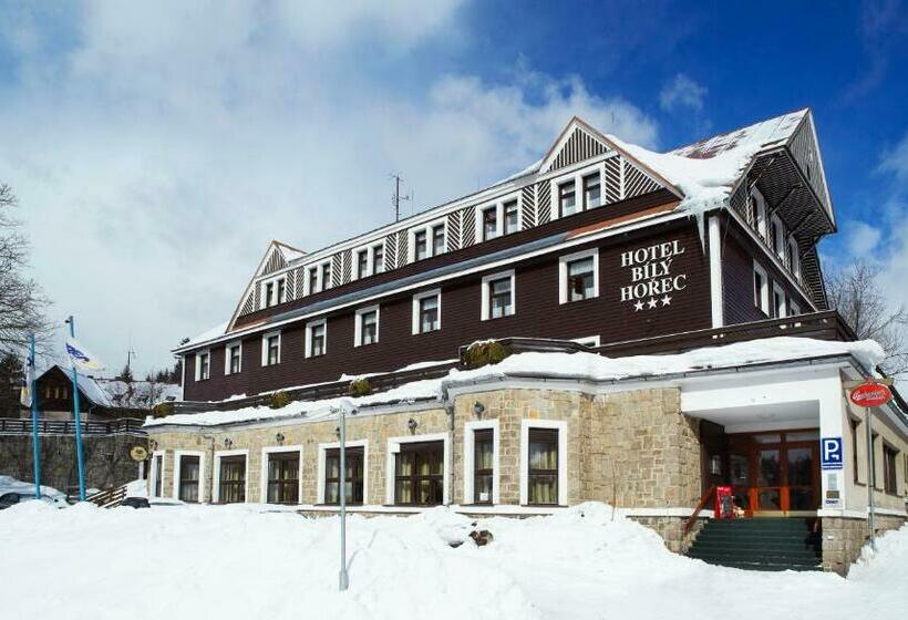 Spa Hotel Bily Horec