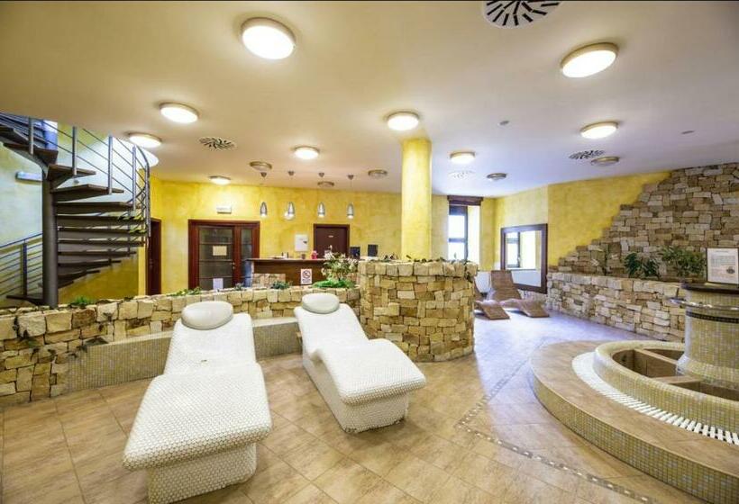 Spa Hotel Bily Horec