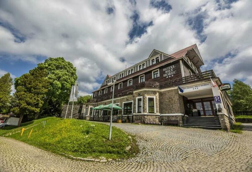 Spa Hotel Bily Horec