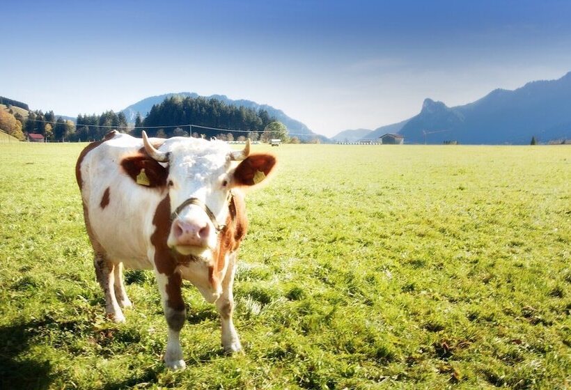 Landhotel Böld Oberammergau