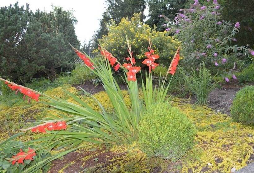 Landidyll Hotel Nudelbacher