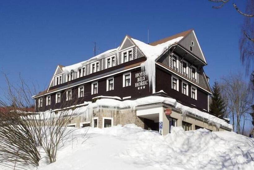 Spa Hotel Bily Horec