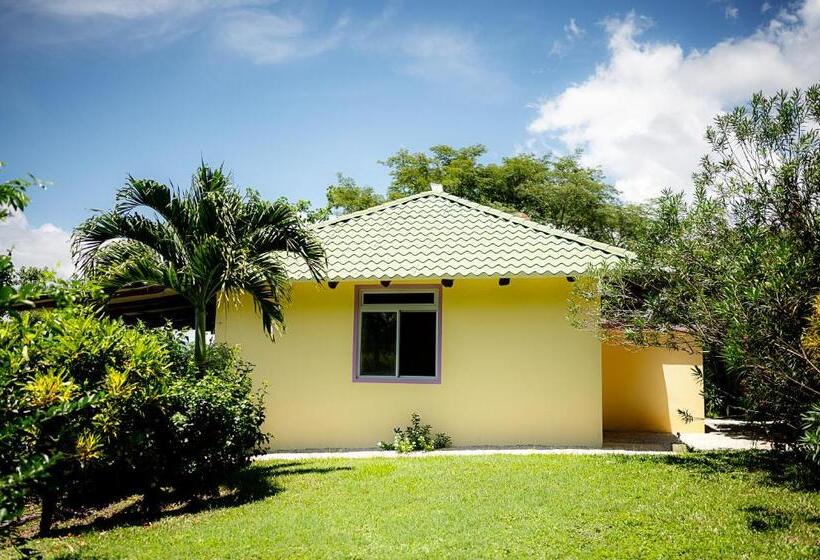 مبيت وإفطار Casa Laureles