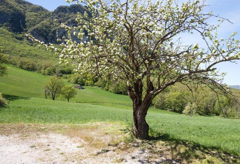 בית מלון כפרי Agriturismo I Fondacci