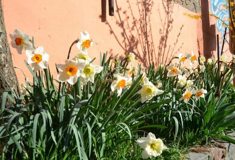 فندق Agriturismo La Mussia