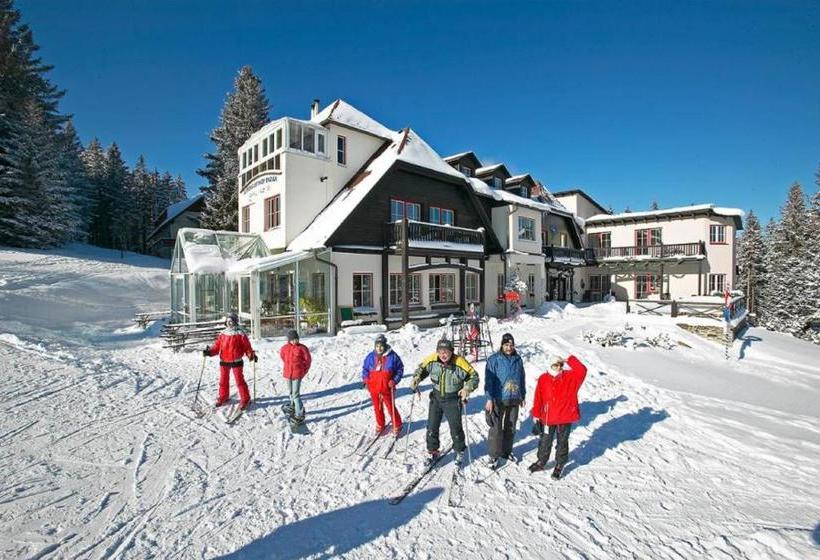 Alpenhotel Enzian