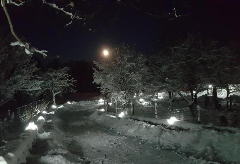 فندق Casa Bunicului