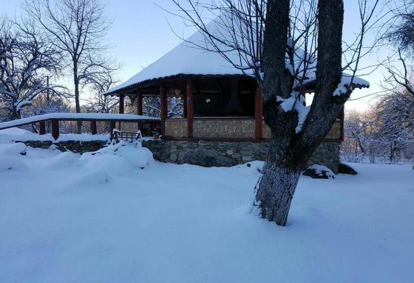 בית מלון כפרי Casa Bunicului