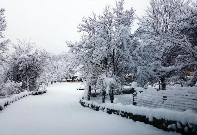 فندق Casa Bunicului