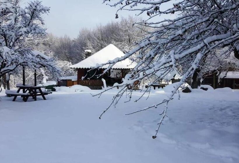 בית מלון כפרי Casa Bunicului