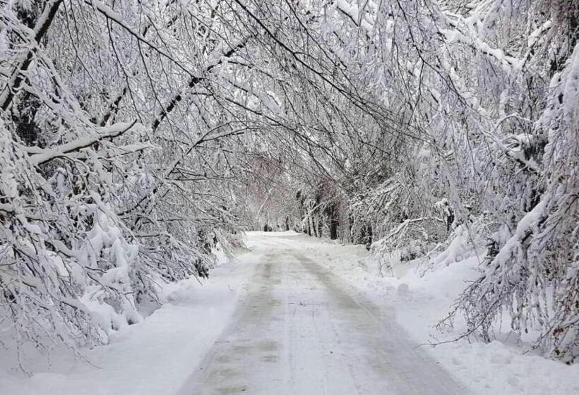 فندق Casa Bunicului