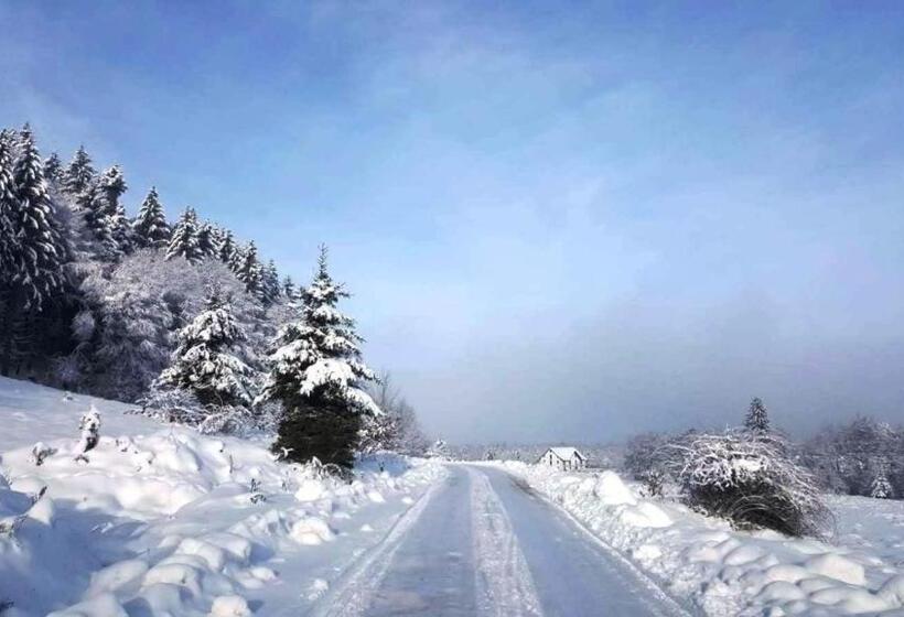 فندق Casa Bunicului