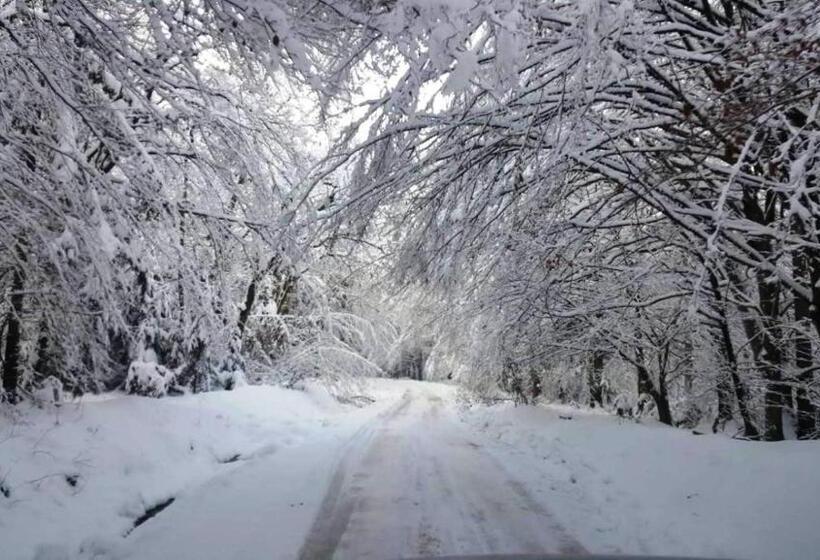 בית מלון כפרי Casa Bunicului
